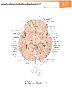 Sobotta Atlas of Human Anatomy  Head,Neck,Upper Limb Volume1 2006, page 342